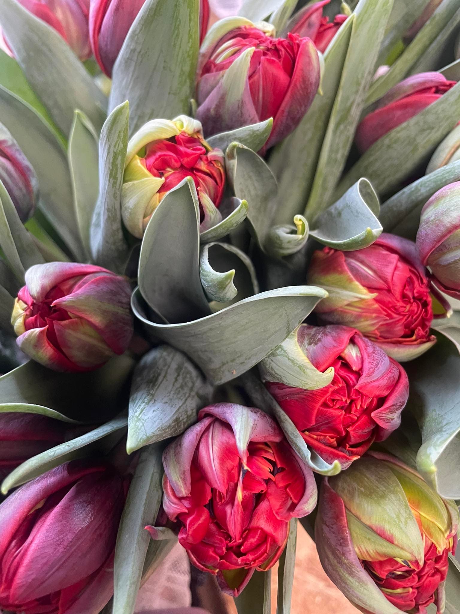 Bouquet automne roses fuchsia et feuilles